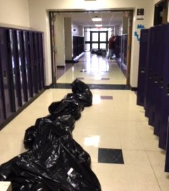 Bags in hallway